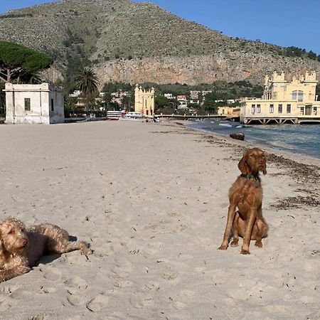 Due Cani Apartment باليرمو المظهر الخارجي الصورة